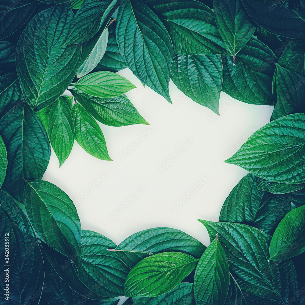 Aufkleber creative layout composition frame of juicy green leaves with beautiful texture with paper card note,