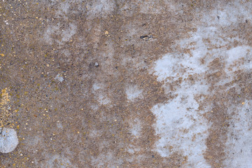 Asbestos slate texture concrete covered with lichen and moss	