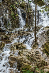 natural waterfalls in Plitvice Lakes National Park; beautiful natural landscape with forest and waterfalls; the water flows out of the forest