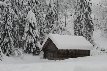 Wooden cabin under the snow 