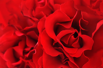 Fototapeta premium Red festive rose petals background, love flowers card, selective focus, toned image