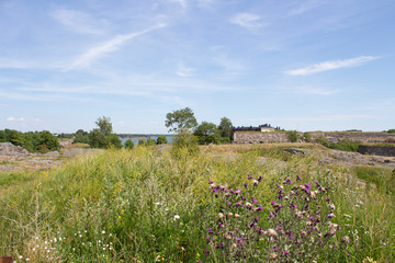 Blooming summer meadow and old fortifications of Suomenlinna island in the Gulf of Finland in Finland on a summer sunny day.