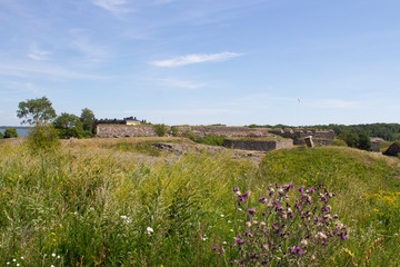 Blooming summer meadow and old fortifications of Suomenlinna island in the Gulf of Finland in Finland on a summer sunny day.