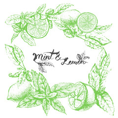 Vector background design with lemon and mint