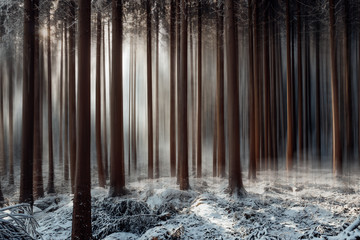 Surrealer Winter Wald Traum