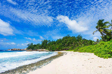 Beautiful tropical beach,palms,white sand,granite rocks,seychelles 11