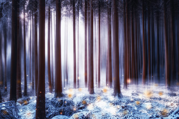 Mystischer surrealer Winter Wald mit Schnee und Glühwürmchen