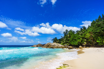 Fototapeta na wymiar Beautiful tropical beach,palms,white sand,granite rocks,seychelles 20