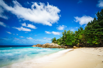 Obraz na płótnie Canvas beautiful paradise tropical beach,palms,rocks,white sand,turquoise water, seychelles 31