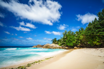 Fototapeta na wymiar beautiful paradise tropical beach,palms,rocks,white sand,turquoise water, seychelles 32
