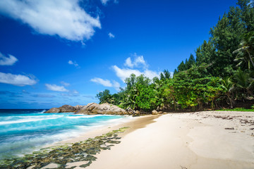 Fototapeta na wymiar beautiful paradise tropical beach,palms,rocks,white sand,turquoise water, seychelles 42