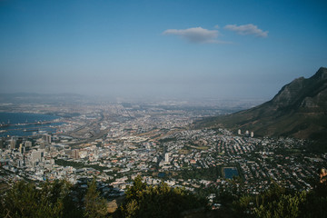 Lions Head South Africa