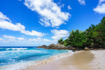 Fototapeta na wymiar Beautiful tropical beach,palms,white sand,granite rocks,seychelles 21
