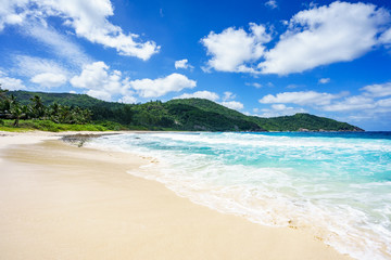 Fototapeta na wymiar Beautiful tropical beach,palms,white sand,granite rocks,seychelles 22