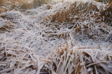 Frozen Ground wit Ice and grass and snow in the winter