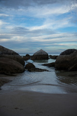 Fototapeta na wymiar Penguin Beach Cape Town