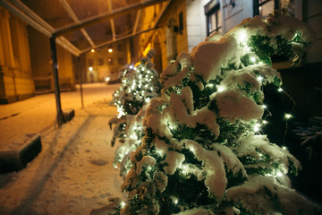 fir-tree covered by snow close up at city street at night