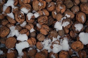 walnuts on wooden background