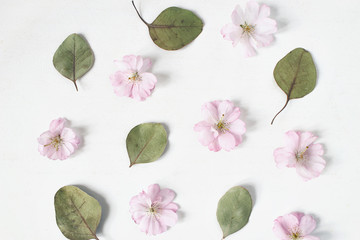 Naklejka premium Feminine floral pattern. Dry eucalyptus leaves and pink Japanese cherry tree blossoms on old white wooden table background. Flat lay, top view.