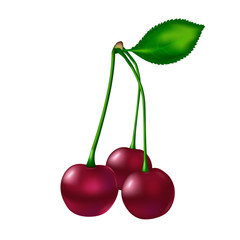 Three red ripe cherries with stem and with one green leaf at right side on a white background