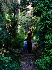 Naklejka na ściany i meble child and mom togethe in the forest