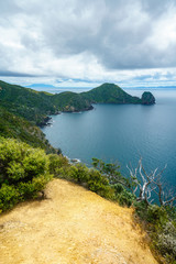 Hiking the Coromandel Coastal Walkway, New Zealand 9