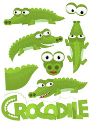 cartoon scene with set of crocodiles on white background with sign name of animal - illustration for children