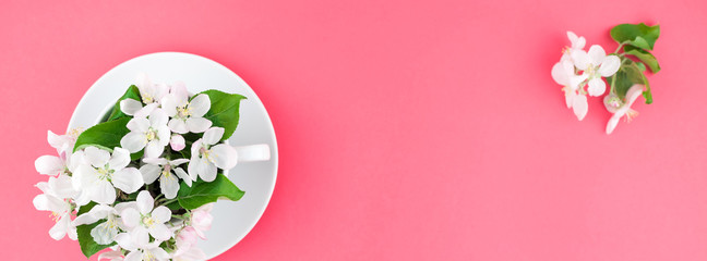 White spring apple tree blooming flowers in a cup