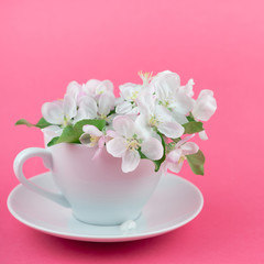 White spring apple tree blooming flowers in a cup