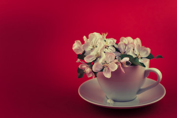 White spring apple tree blooming flowers in a cup