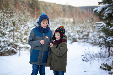Happy family two brothers keep a sparklers or bengal fires outdoor in beautiful winter forest.