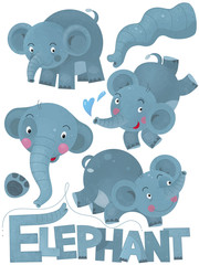 Obraz na płótnie Canvas cartoon scene with set of elephants on white background with sign name of animal - illustration for children