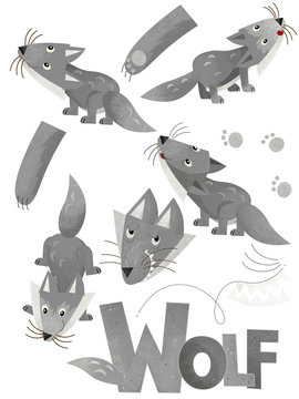 cartoon scene with set of wolfs on white background with sign name of animal - illustration for children