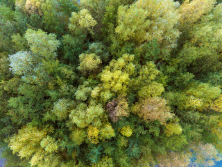Trees in Jumieges, Seine-Maritime, Normandy, France