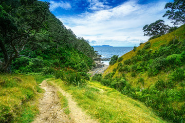 Naklejka na ściany i meble Hiking the Coromandel Coastal Walkway, New Zealand 36