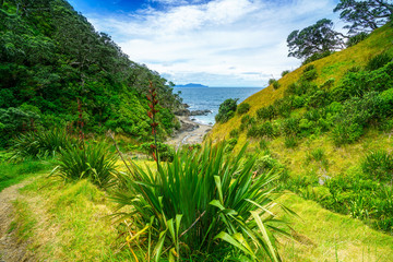 Hiking the Coromandel Coastal Walkway, New Zealand 38