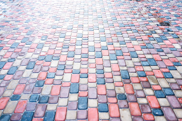 Fototapeta premium Abstract colorful background of sidewalk tiles - Sidewalk tile as a background for advertising