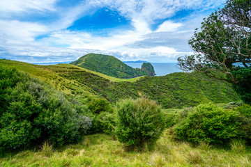 Hiking the Coromandel Coastal Walkway, New Zealand 46