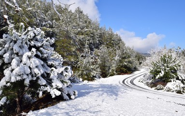  Hiking.Hiking winter.Snowy winter road. Beautiful winter landscape in the mountain forest.Group of people in the forest. Akcaova-Serefler -Cine. Turkey