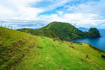 Fototapeta na wymiar Hiking the Coromandel Coastal Walkway, New Zealand 51