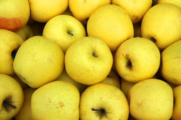 fresh yellow apples  in box