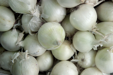 Fresh onions in the market