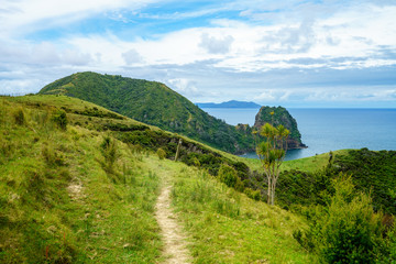 Fototapeta na wymiar Hiking the Coromandel Coastal Walkway, New Zealand 61