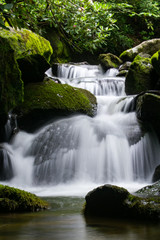 Obraz premium Beautiful Waterfall on Goshen Creek