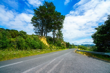 Fototapeta premium W drodze na półwyspie Coromandel, Nowa Zelandia 6