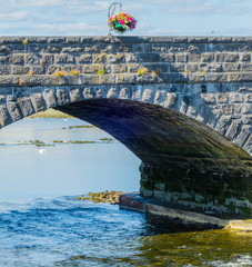 Flowers on Shannon Bridge Limerick Blumen Brücke