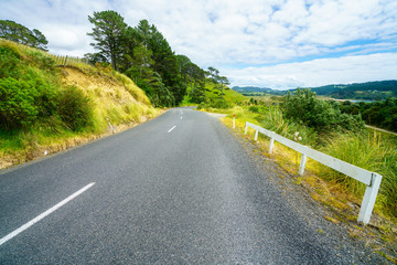 road in green hills,coromandel peninsula, new zealand 3