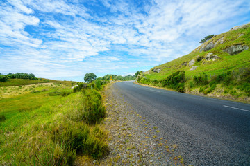 Fototapeta na wymiar road in green hills,coromandel peninsula, new zealand 22