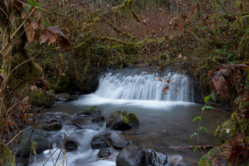 Hidden Falls at Mcdowell Creek Fall in Oregon