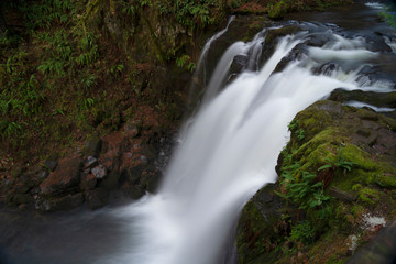 Fototapeta na wymiar Majestic Fall at McDowell Creek Fall County Park in Oregon